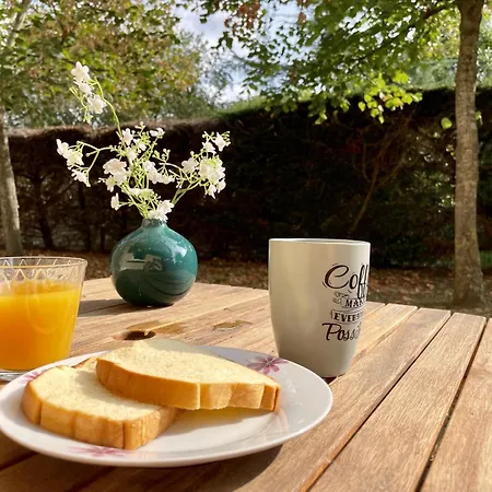 Le Tamaris, Calme Avec Terrasse 公寓 *